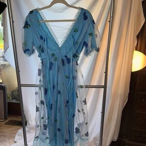 Blue Sheer Dress with Floral Embroidery